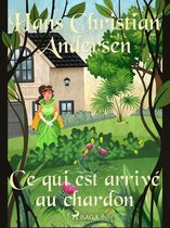 Les Contes de Hans Christian Andersen - Ce qui est arrivé au chardon