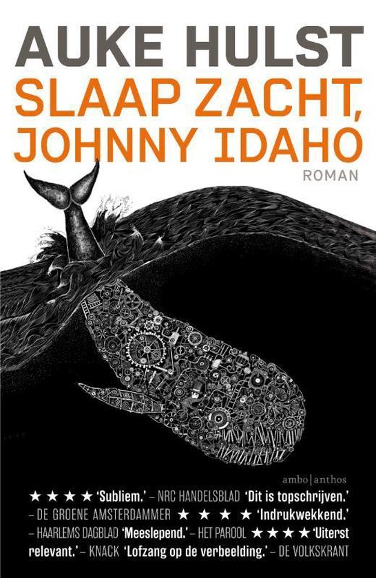 Boek cover Slaap zacht, Johnny Idaho van Auke Hulst (Paperback)