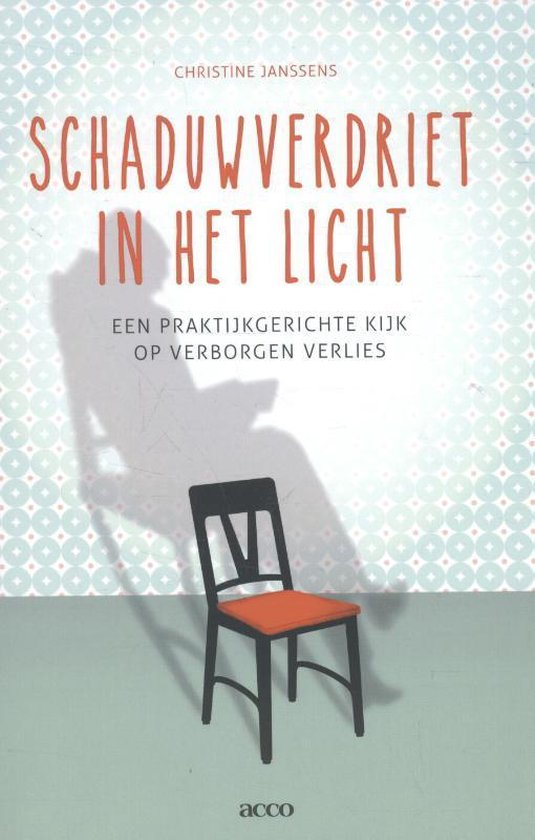 Schaduwverdriet in het licht - cover