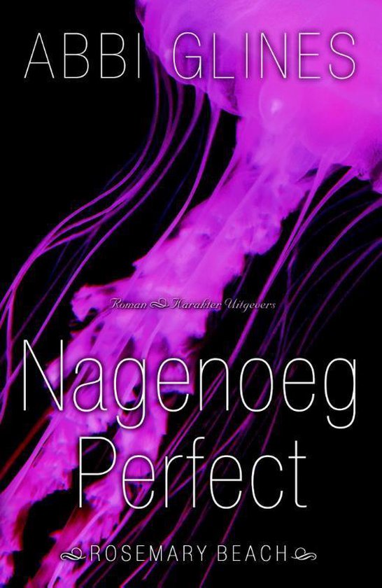 Rosemary Beach  -   Nagenoeg perfect - cover