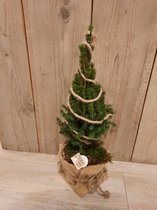 Kerstboom - jute zak - led verlichting