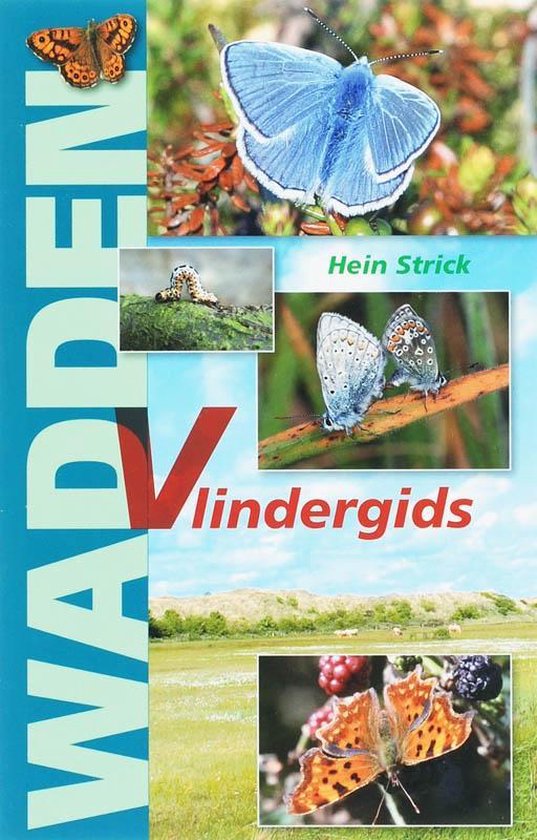 Cover van het boek 'Wadden vlindergids' van H. Strick