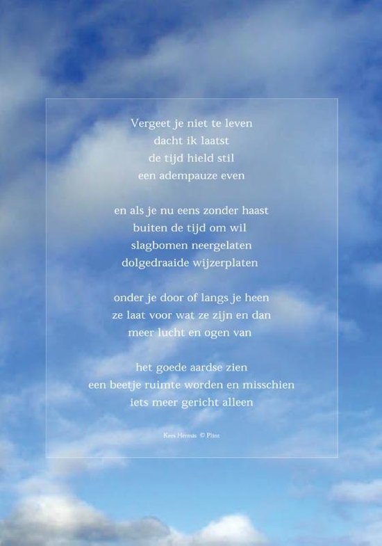 Cover van het boek 'Raamgedicht Plint Hermis 'Vergeet je niet te leven' incl. set zuignapjes / 2001/01C1'