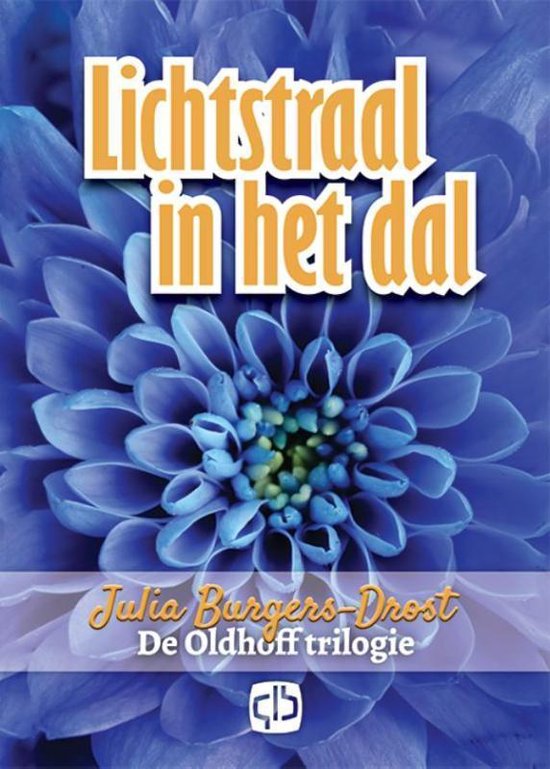 Lichtstraal in het dal - cover