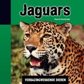 Verbazingwekkende dieren  -   Jaguars