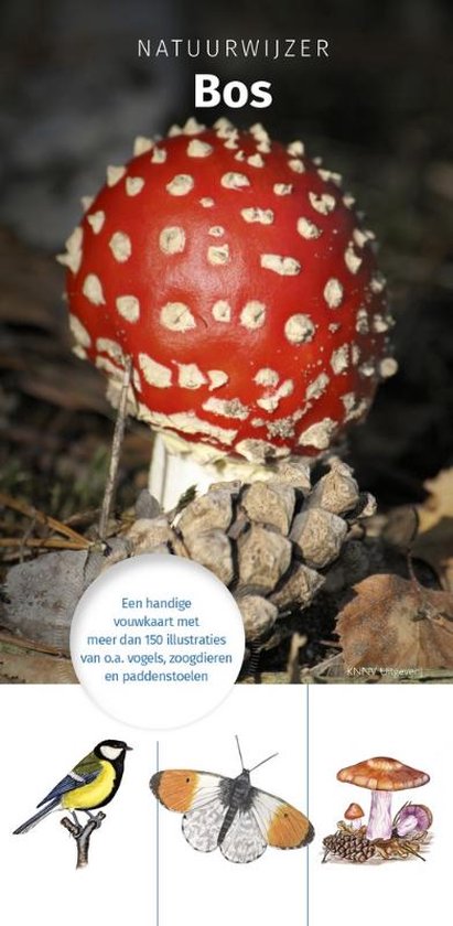 Natuurwijzer Bos