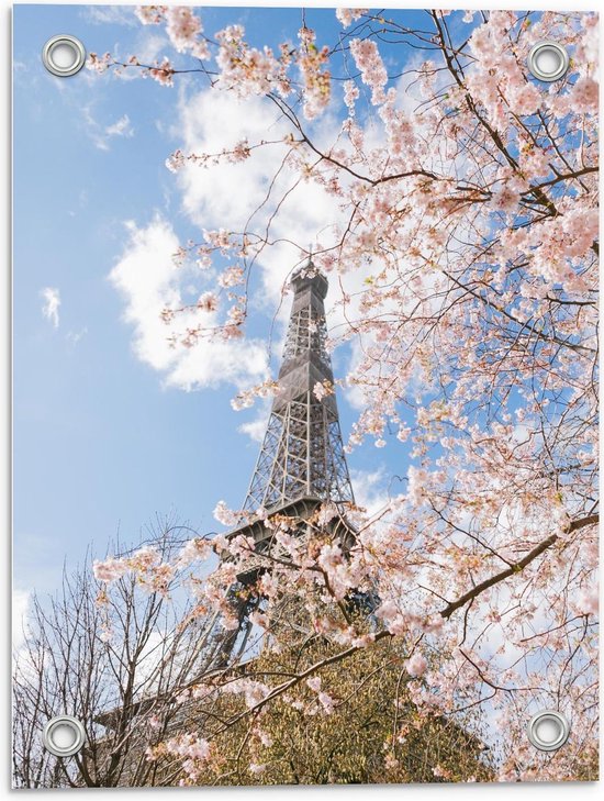 Tuinposter – Eiffeltoren bij Bloesemboom, Parijs - 30x40cm Foto op Tuinposter  (wanddecoratie voor buiten en binnen)