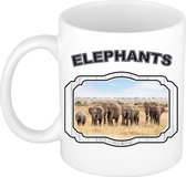 Dieren kudde olifanten beker - elephants/ olifanten mok wit 300 ml