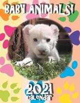 Baby Animals! 2021 Calendar