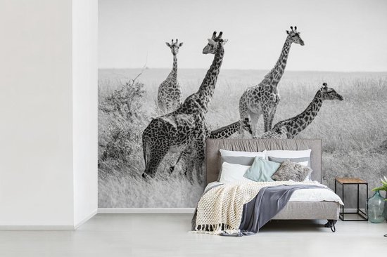 Bol Com Fotobehang Vinyl Giraffe Familie In Zwart Wit Breedte 350 Cm X Hoogte 260 Cm Foto