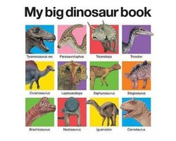 My Big Dinosaur Book