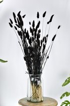Droogbloemen  Zwart | Kanariegras | 60 cm | Natuurlijk Bloemen