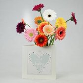 Bloomincard Germini - Geboorte zoon - bloemen en boeketten - Verse Gerbera's met unieke vaas - Feliciteren met Germini's en speciale kaart die je om kunt toveren tot vaas - in luxe doos vers 