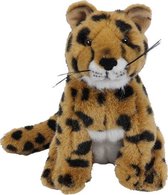 Cheetah zittend 21 cm
