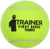 ARP Tennisball FST trainer pressureless (60pcs)