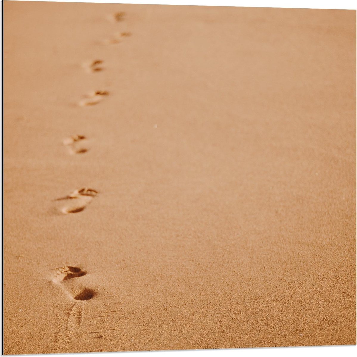 Dibond - Voetafdrukken in het Beige Zand van het Strand - 80x80cm Foto op Aluminium (Met Ophangsysteem)