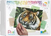 Pixelhobby geschenkdoos 4 basisplaten - Tijger