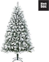Black Box Trees - Chandler kerstboom groen frosted TIPS 3401 - h365xd200cm- Kerstbomen