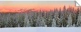 Kerstdorp achtergrond - 70x180 cm - pvc - zonsopkomst bomenrij - winterlandschap - kerstposter - winterlandschap - kerstinterieur - modeltreinen