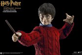 Harry Potter: Harry Potter Christmas Version 1:6 Scale Figure