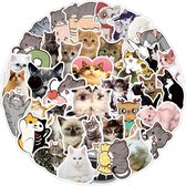 Schattige katten stickers | vinyl laptop stickers |Bullet journal | 50 stuks