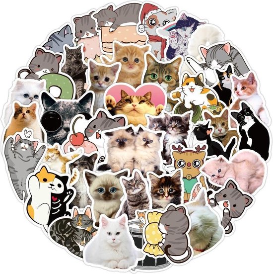 Schattige katten stickers | vinyl laptop stickers |Bullet journal | stuks | bol.com