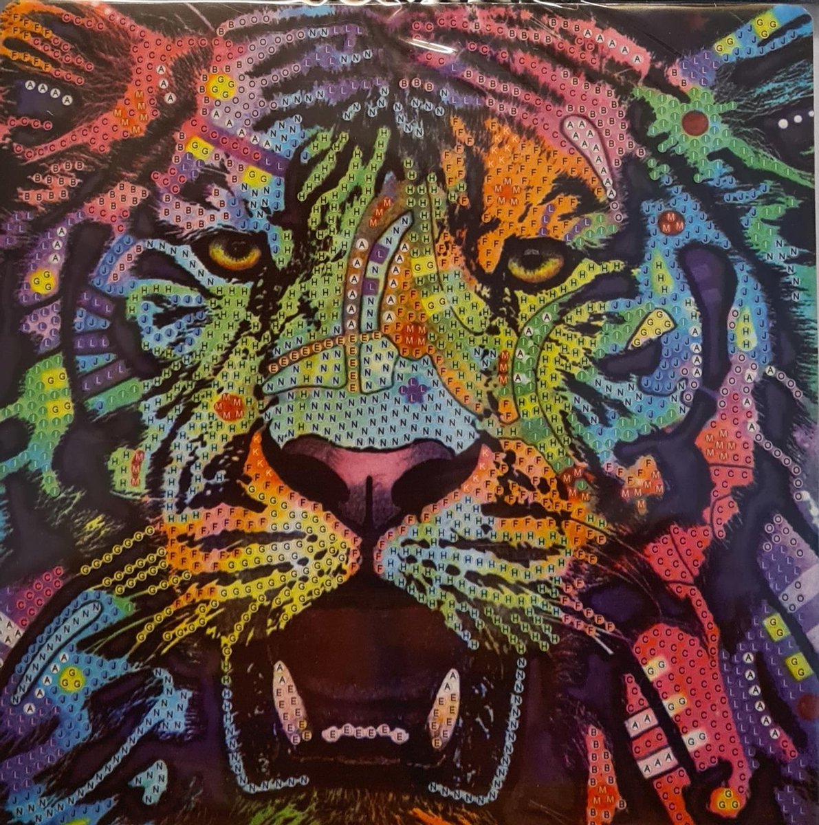 Toi Toys Diamond painting 20x20 CM dieren EXTRA glans | diamant schilderen | tijger