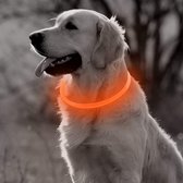 LED Halsband Hond - Lichtgevende Halsband Hond - Oranje - 20-70 cm - USB Oplaadbaar