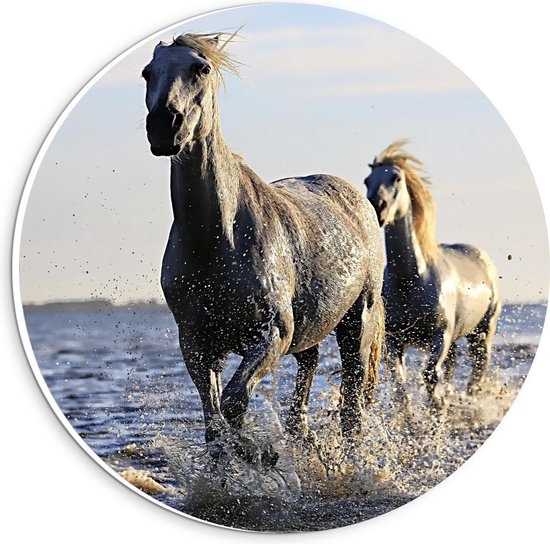 Forex Wandcirkel - Galopperende Paarden in het Water - 20x20cm Foto op Wandcirkel (met ophangsysteem)