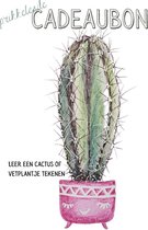 Cadeaubon Cursus Cactus Tekenen met Inktense Potloden | Online Cursus + Tekenpakket
