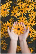 Poster – Oranje Bloemenveld - 60x90cm Foto op Posterpapier