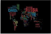 Schilderij Wereldkaart met namen van landen, 4 maten