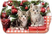 Dienblaadje Ambiente Christmas Kitten voor één kopje
