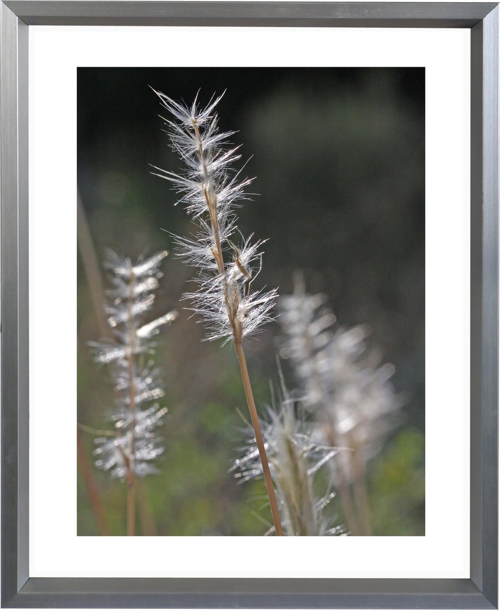 Fotolijst Deco Line 21x29,7 (DIN A4) Zilver