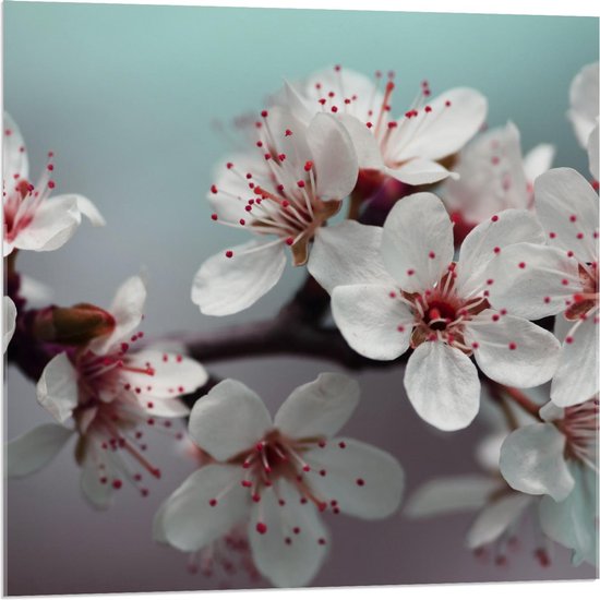 Acrylglas - Witte Bloemen op Spiegelglas - 80x80cm Foto op Acrylglas (Wanddecoratie op Acrylglas)