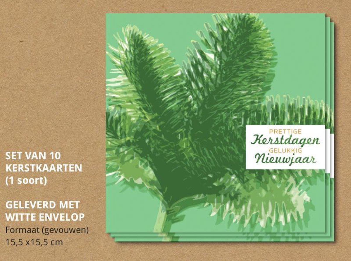 Luxe kerstkaarten met enveloppen, Kersttakken - 10 stuks