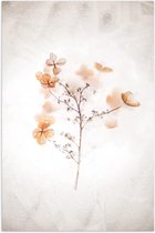 Poster – Schilderij Tak met Oranje Bloemen  - 60x90cm Foto op Posterpapier