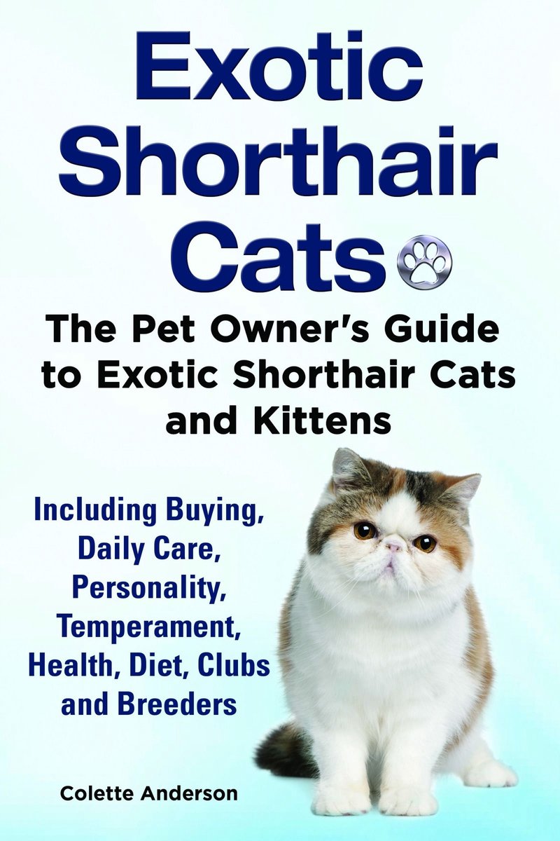 Exotic Shorthair Cats The Pet Owner’s Guide to Exotic Shorthair Cats and Kittens Including Buying, Daily Care, Personality, Temperament, Health, Diet, Clubs and Breeders - Colette Anderson