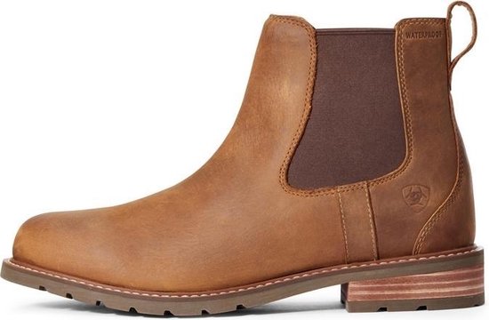 Ariat Heren Wexford Waterproof Jodphur | bol.com
