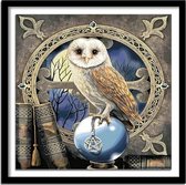 Diamond Painting - Uil Harry Potter - Volledige dekking - Vierkante steentjes - 40x40 cm - Hobbypakket