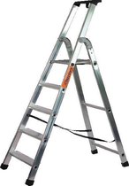 Castrex Easypro Huishoudtrap1x5 treden