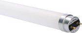 LED's Light TL buis 24W 150cm 4000K