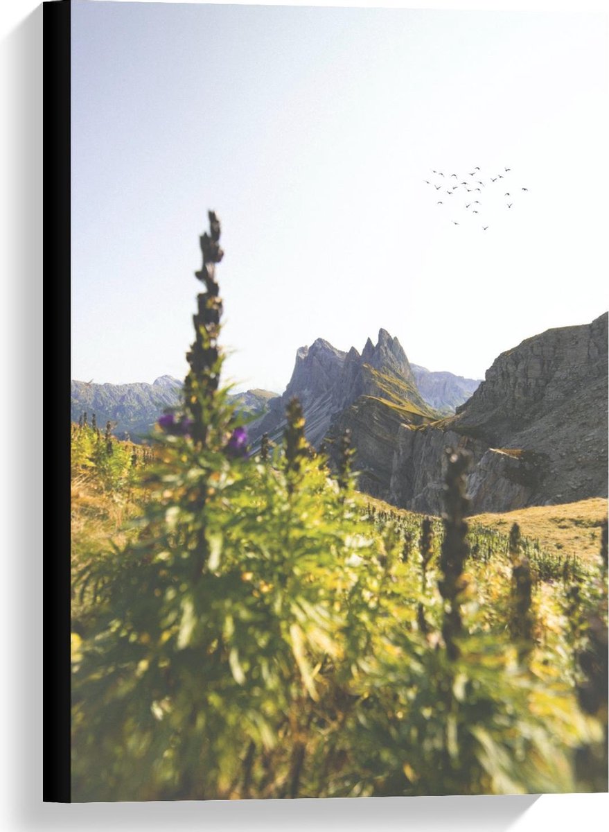 KuijsFotoprint Canvas - Rotsen met Begroeiing - 40x60cm Foto op Canvas Schilderij (Wanddecoratie op Canvas) Groen