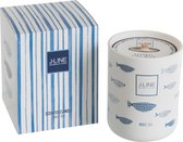 J-Line Geurkaars Vis Blauw Large-80U