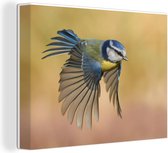 Canvas Schilderijen - Een kleurrijke vliegende pimpelmees - 80x60 cm - Wanddecoratie