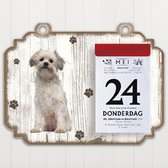 Scheurkalender 2023 Hond: Leeuwhondje