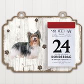 Scheurkalender 2023 Hond: Biewer Yorkshire Terrier