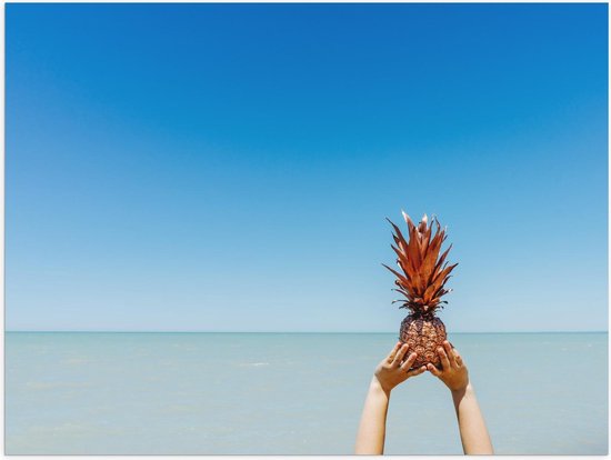 Poster – Gouden Ananas in de Lucht  - 40x30cm Foto op Posterpapier