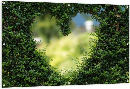 Tuinposter - Hartvorm door Struiken - Foto op Tuinposter (wanddecoratie voor buiten en binnen)