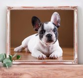 Diamond Painting Franse Bulldog - Vierkante steentjes - Volledige dekking - Hobbypakket - 40x30 cm